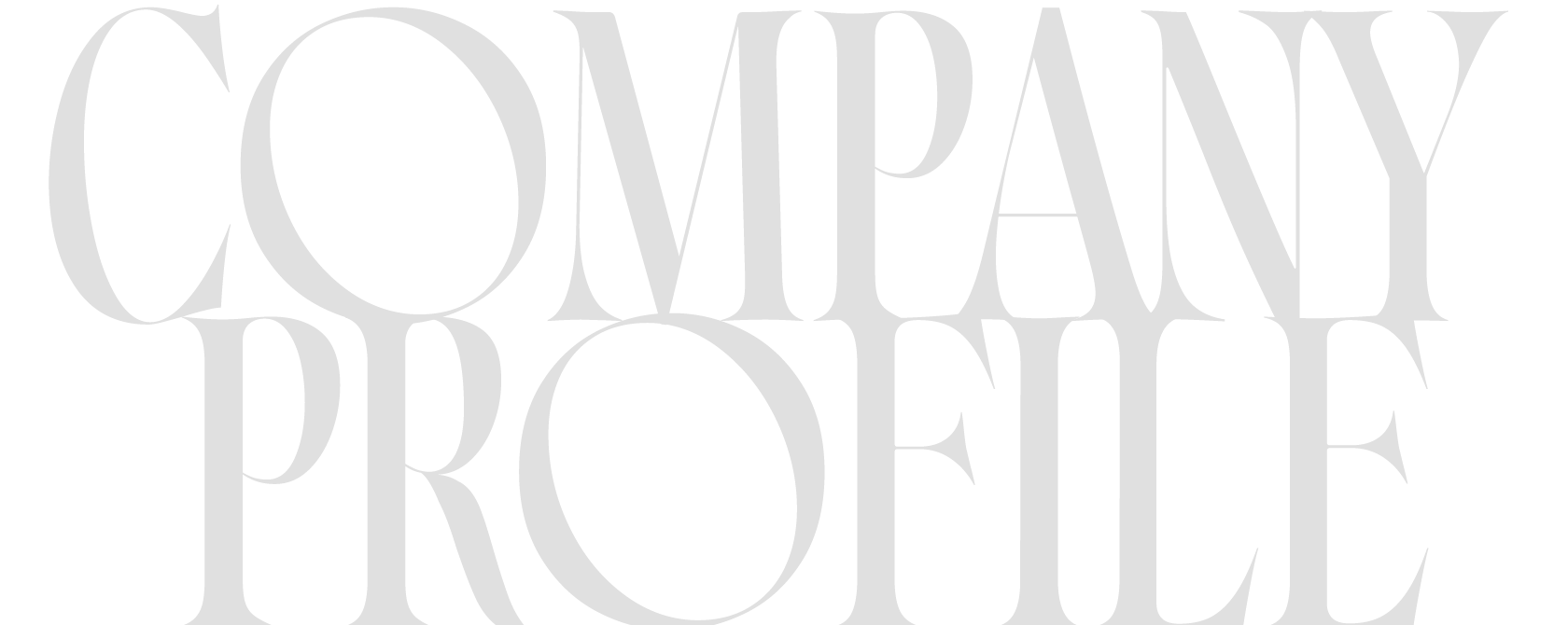 COMPANY PROFILE